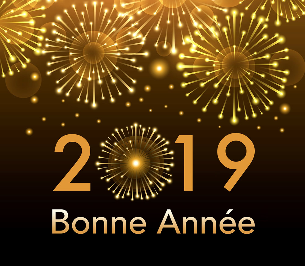 Bonne Anne 2019